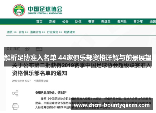 解析足协准入名单 44家俱乐部资格详解与前景展望