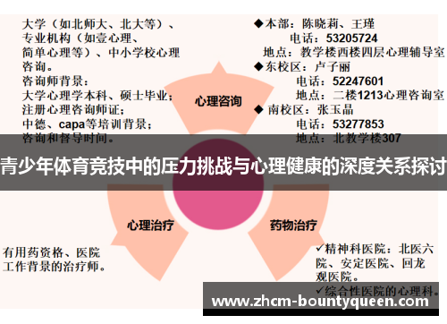 青少年体育竞技中的压力挑战与心理健康的深度关系探讨